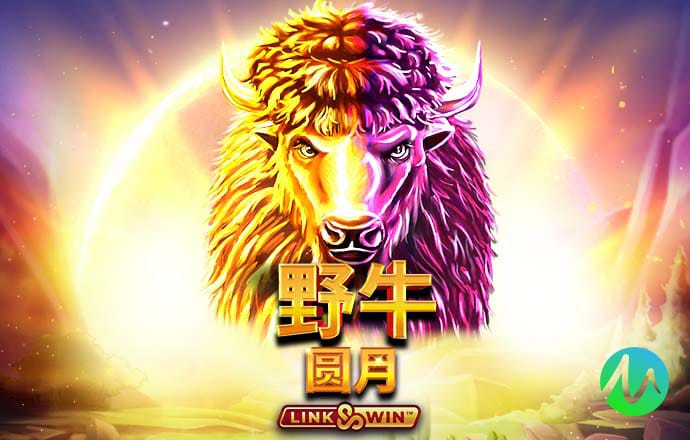 金沙001400